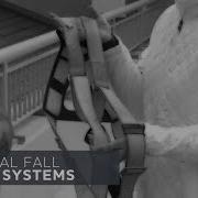 Supervisor Safety Tip Personal Fall Arrest Systems