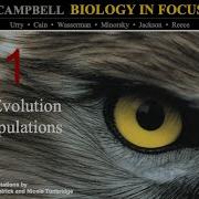 Biology In Focus Chapter 21 The Evolution Of Populations