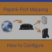 Port Mapping On The Peplink MAX BR1 How To Configure