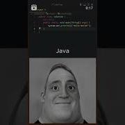 Programming Python Javascript Java C Assembly Coding