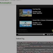 Flowplayer Embed With Logo