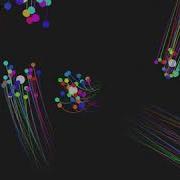Particle Flock Openframeworks