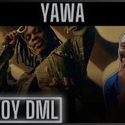 The Boy Is Good Fireboy DML YAWA Official Video Reaction