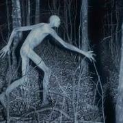 Disturbing Creatures Caught On Trail Cams In 2024