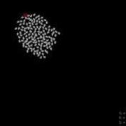 Flocking Demo XNA