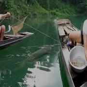 Great Fishing Unique Fishing Skills Fishing Techniques On Rivers And Lakes Catch A Lots Of Fish