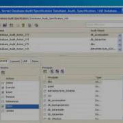 ERwin Data Modeler Technical Overview SQL Server 2008 Support