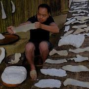 Primitive Skills Natural Rubber And How It S Made