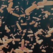 Health Experts Warning Public Over New Superbug
