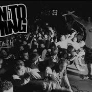 Down To Nothing No Leash OFFICIAL VIDEO