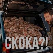 Pdkpzpacgnto3X5 W 9Uq
