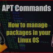 The Most Used APT Commands In Linux
