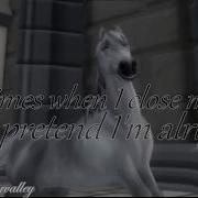 Echo Star Stable Full MEP