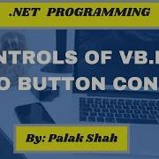VB Net Controls RadioButton Control Net Programming BitOxygen Academy