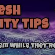 Organize Your Project Unity Tips Tricks