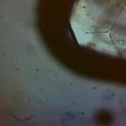 NaCl Dissolving