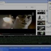 SQUID Youtube Dynamic ID
