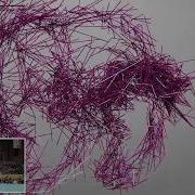 Forms Excerpt Interactive Art Installation Nexus Studios