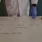 Chemical Equilibrium Demonstration Gases