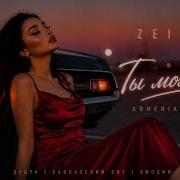 ZEIN Ты Моя Ночь Armenian Кавказ Remix 2026
