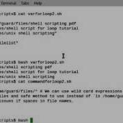 Bash Shell Script For Loop How It Works