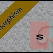 Video 8 Java Polymorphism