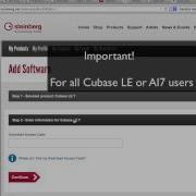 Steinberg LE And AI Activation