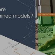 Using Pre Trained Models In TensorFlow Machine Learning For Web Developers
