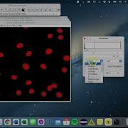 ImageJ Fiji Segmentation Part 3 Thresholding