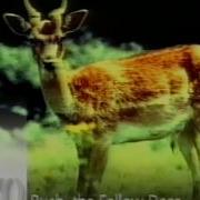 BBC2 Continuity 31 12 89
