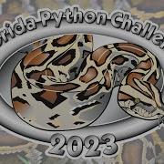 2023 Python Challenge Award Ceremony