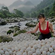 TIMELAPSE 226 Days Harvesting Many Duck Eggs By The Stream Purple Corn Chicken Eggs Go To Sell
