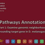 GEP Pathways Gene Annotation Part 1 Examine Genomic Neighborhood Surrounding Target Gene
