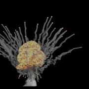 Houdini Fireball Preview Explosion