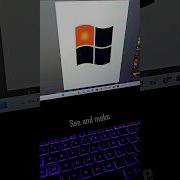 Graphics Microsoft Window Logo Shorts