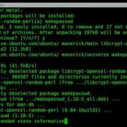 Random File Names BASH Linux