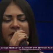 Sevil Katran