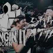 SHARK ATTACK BRINGIN IT DOWN FEST 2019 MULTICAM FULL SET
