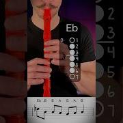 Squid Game Recorder Tutorial Recorder Tutorial Squidgame
