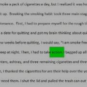 Basic Paragraph Structure Example 2