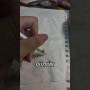 Ödev Yapmayı Reddeden Kalem