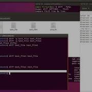 Linux Command Diff Text File Comparison Command