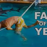 3 HOURS SPECIAL Impossible Try Not To Laugh Challenge Best Fails Of The Year 2023