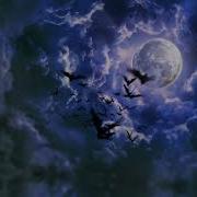 Horror Intro Template Movie Intro Horror Movie Video Intro For Youtube Moonlight Night
