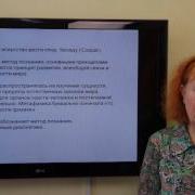 Бармашова Т И Диалектика и метафизика основные методы познания в философии