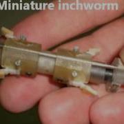 Single Actuator Earthworm And Inchworm Robots