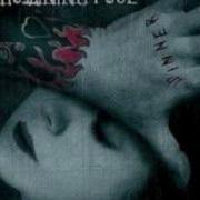 Bodies Drowning Pool HQ