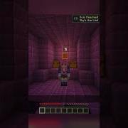 Spice Up Your Elytra Game