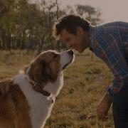 Phillip Phillips Gone Gone Gone From The Movie A Dog S Journey