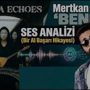 Ankara Echoes Beni Al Ses Analizi Bir AI Başarı Hikayesi